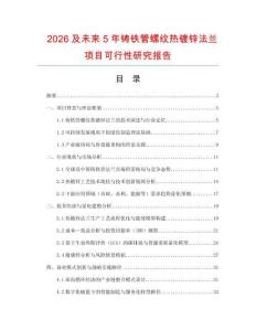 2026及未來5年鑄鐵管螺紋熱鍍鋅法蘭項目可行性研究報告