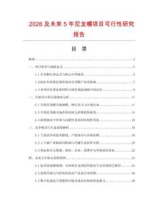 2026及未來5年尼龍帽項目可行性研究報告