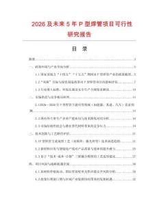 2026及未來5年P型焊管項目可行性研究報告