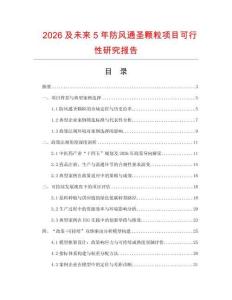 2026及未來5年防風(fēng)通圣顆粒項目可行性研究報告