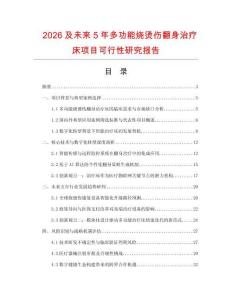 2026及未來5年多功能燒燙傷翻身治療床項目可行性研究報告