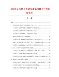 2026及未來5年砂光高鍋項目可行性研究報告