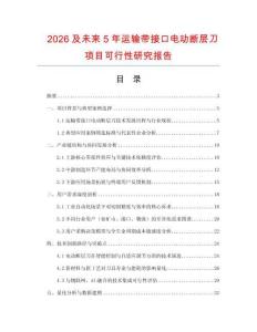 2026及未來5年運輸帶接口電動斷層刀項目可行性研究報告