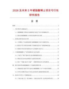 2026及未來5年硬脂酸稀土項(xiàng)目可行性研究報(bào)告