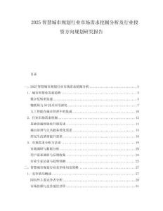 2025智慧城市規劃行業市場需求挖掘分析及行業投資方向規劃研究報告