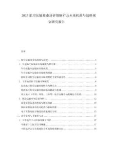 2025航空運輸業市場詳細解析及未來機遇與戰略規劃研究報告