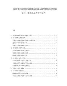 2025骨科疾病康復輔具市場潛力深度解析及投資前景與行業發展趨勢研究報告