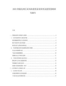2025智能電網行業風險投資前景研判及投資策略研究報告