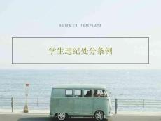 學(xué)生違紀(jì)處分條例28頁(yè)P(yáng)PT