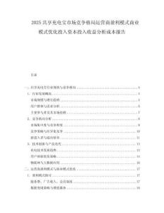 2025共享充電寶市場競爭格局運營商盈利模式商業(yè)模式優(yōu)化投入資本投入收益分析成本報告