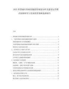 2025智慧城市基礎設施投資規劃分析及建設運營模式創新研究與發展投資策略選擇報告