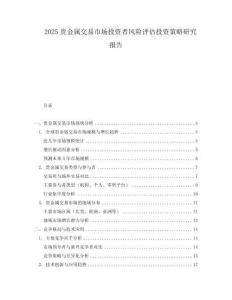 2025貴金屬交易市場投資者風險評估投資策略研究報告
