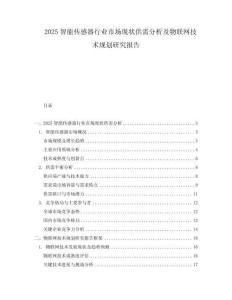 2025智能傳感器行業市場現狀供需分析及物聯網技術規劃研究報告