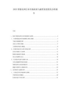 2025智能電網(wǎng)行業(yè)市場拓展與融資渠道優(yōu)化分析報(bào)告