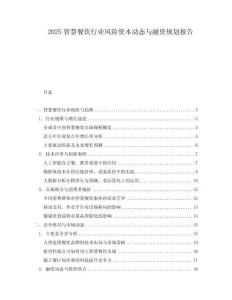 2025智慧餐飲行業(yè)風險資本動態(tài)與融資規(guī)劃報告