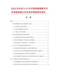 2026及未來5-10年中國硅碳棒配件市場調(diào)查數(shù)據(jù)分析及競爭策略研究報告