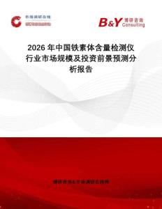 2026年中國鐵素體含量檢測儀行業市場規模及投資前景預測分析報告