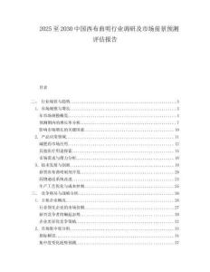 2025至2030中國西布曲明行業調研及市場前景預測評估報告