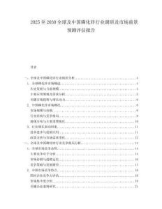 2025至2030全球及中國磷化鋅行業調研及市場前景預測評估報告