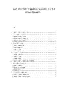 2025-2030智能電網設備行業市場供需分析及資本投資前景策略報告