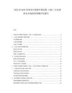2025至2030全球及中國羧甲基淀粉（CMS）行業調研及市場前景預測評估報告