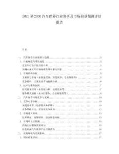 2025至2030汽車保養行業調研及市場前景預測評估報告
