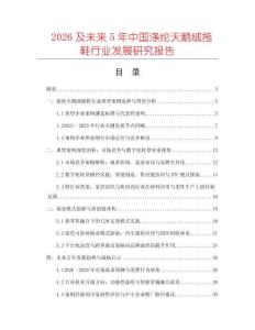 2026及未來5年中國滌綸天鵝絨拖鞋行業發展研究報告