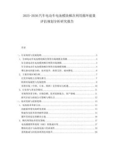 2025-2030汽車電動車電池模塊梯次利用循環(huán)能量評估規(guī)劃分析研究報告