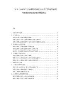 2025-2030汽車充電樁運營商分布式光伏自發(fā)自用項目投資收益評估分析報告