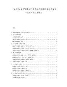2025-2030智能電網行業(yè)市場趨勢研判及投資規(guī)劃與能源調度研究報告