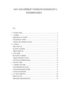 2025-2030品牌建設產業效果評估及利益相關者與管理策略研究報告