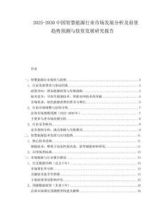 2025-2030中國智慧能源行業(yè)市場發(fā)展分析及前景趨勢預(yù)測與投資發(fā)展研究報告