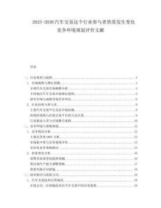 2025-2030汽車交易這個行業參與者供需發生變化競爭環境規劃評價文獻