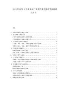 2025至2030可再生能源行業調研及市場前景預測評估報告