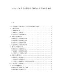 2025-2030批發市場轉型升級與電商平臺競爭策略