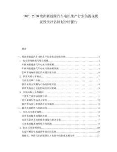 2025-2030歐洲新能源汽車電機生產行業供需現狀及投資評估規劃分析報告
