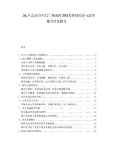 2025-2030汽車后市場深度調研及維修保養與品牌建設研究報告