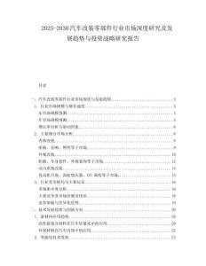 2025-2030汽車改裝零部件行業(yè)市場深度研究及發(fā)展趨勢與投資戰(zhàn)略研究報告