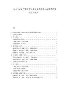 2025-2030汽車后市場服務生態構建與品牌營銷策略分析報告