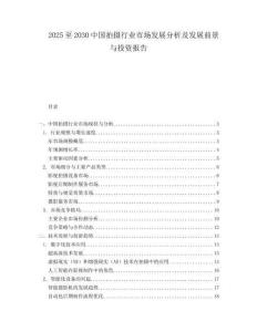 2025至2030中國拍攝行業(yè)市場發(fā)展分析及發(fā)展前景與投資報告