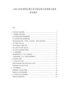 2025-2030排球比賽行業市場分析與發展潛力深度研究報告