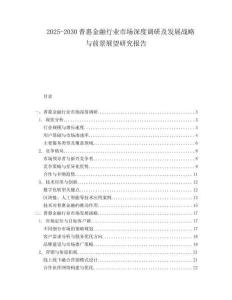 2025-2030普惠金融行業市場深度調研及發展戰略與前景展望研究報告