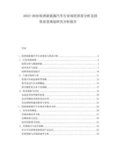 2025-2030歐洲新能源汽車行業現狀供需分析及投資前景規劃研究分析報告