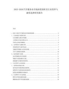 2025-2030汽車服務業市場深度剖析及行業變革與融資選擇研究報告