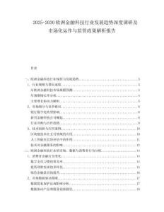 2025-2030歐洲金融科技行業發展趨勢深度調研及市場化運作與監管政策解析報告