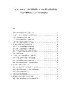 2025-2030汽車零部件輕量化產品市場分析剖析行業競爭格局與未來發展前瞻報告