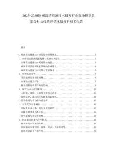 2025-2030歐洲清潔能源技術研發行業市場現狀供需分析及投資評估規劃分析研究報告