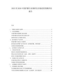 2025至2030中國護膝行業調研及市場前景預測評估報告