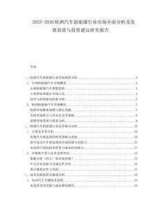 2025-2030歐洲汽車新能源行業市場全面分析及發展前景與投資建議研究報告