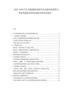 2025-2030汽車駕駛輔助系統行業市場供需趨勢與智能駕駛技術投資規劃分析研究報告
